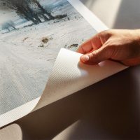 Snowfall Canvas Grain 01